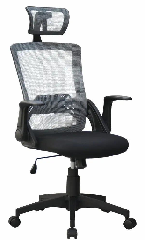 Mesh Chair 2055 — Zhejiang Anji Rongtai Furniture Factory
