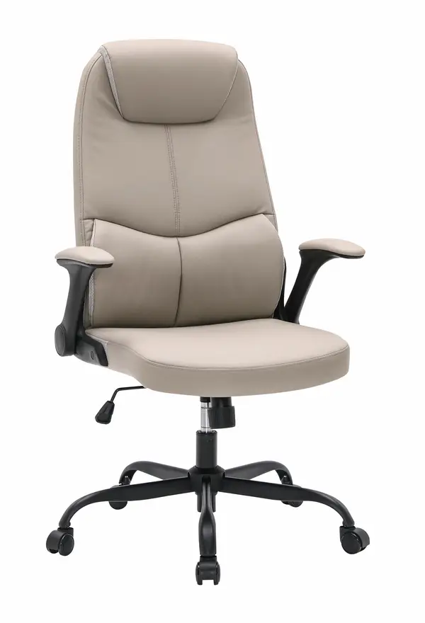 Office Chair 531 — Zhejiang Anji Rongtai Furniture Factory