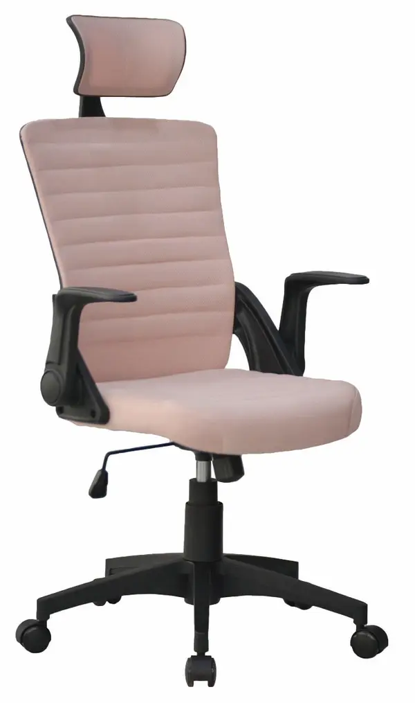 Office Chair 2055-1 — Zhejiang Anji Rongtai Furniture Factory