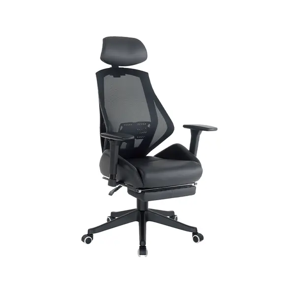 Mesh Chair 2006 — Zhejiang Anji Rongtai Furniture Factory